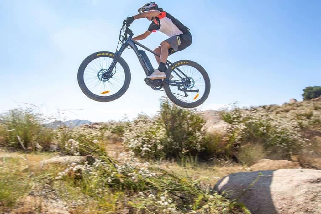 Electri Bicycle 2