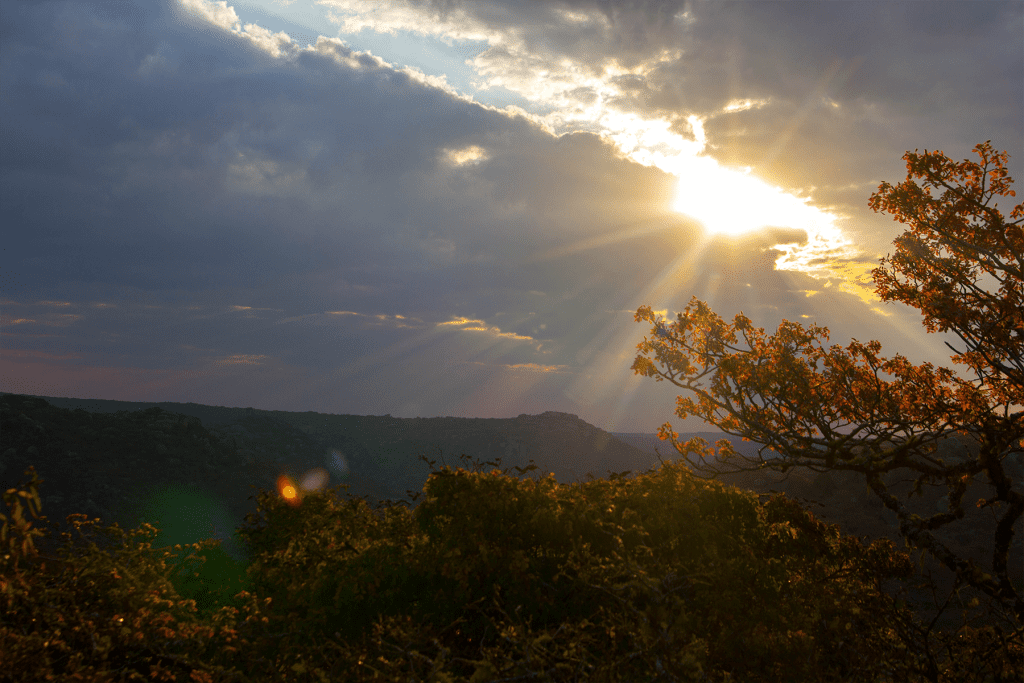 Sunset View