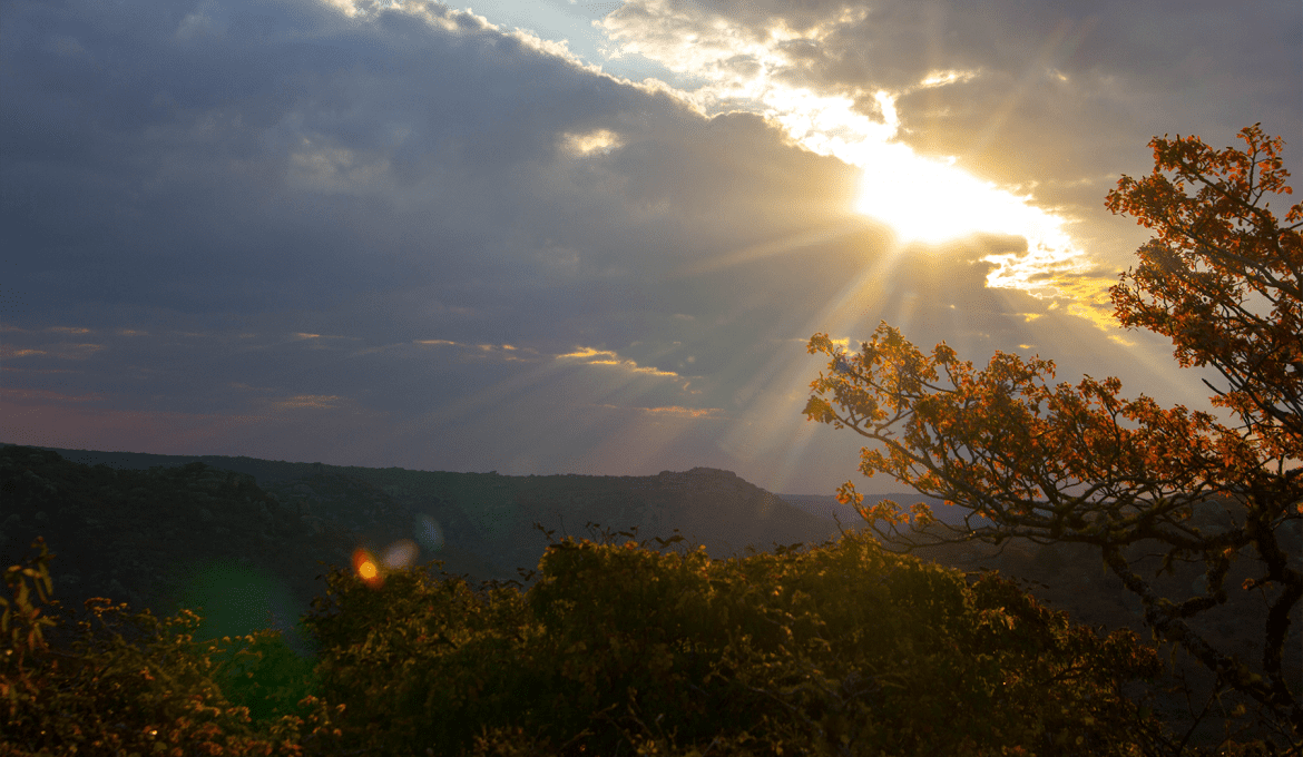 Masasa Vista