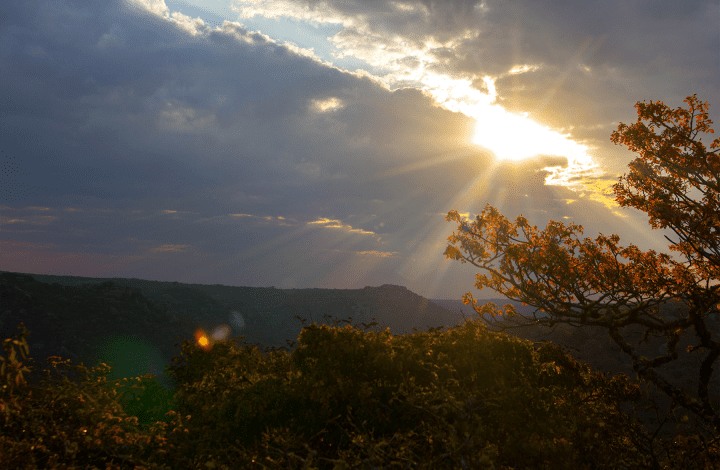 Masasa Vista